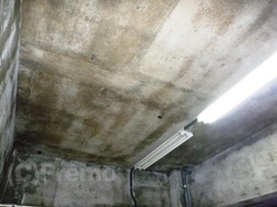 地下室の防カビ工事作業
