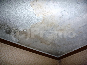 結露する天井塗装面の下地のカビ