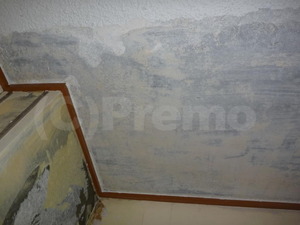 天井下地の殺菌消毒及び防カビ施工後