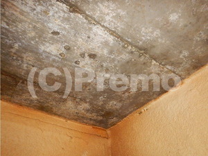 結露とカビ除去後の地下室コンクリート天井