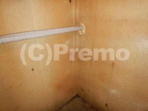 地下室の断熱材防カビ工事後