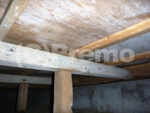 戸建床下のカビ