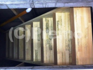 カビが発生し易い地下室木製階段