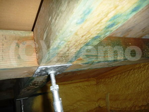 新築戸建て床下基礎内断熱工法のカビ