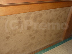 和室腰窓下の砂壁カビ