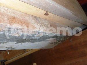 茨城県内の戸建て床下防カビ工事対応中
