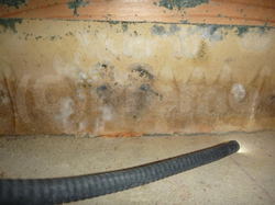 マンション床下漏水事故による断熱材のカビ