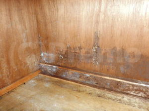 戸建地下室収納のカビ