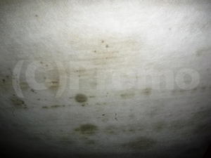 床下断熱材のカビ