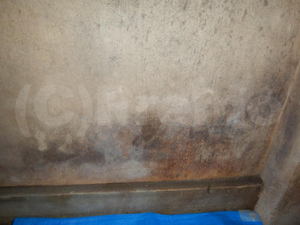 地下室塗装壁のカビ