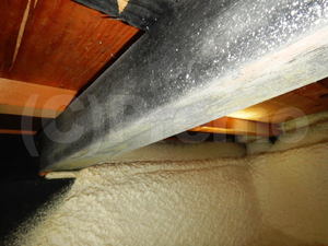 床下基礎内断熱と大引き炭塗料のカビ