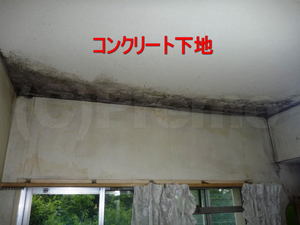 北側洋室天井壁紙のカビ