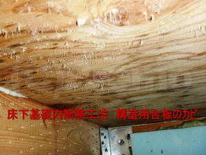 建築中床下基礎内断熱工法のカビ