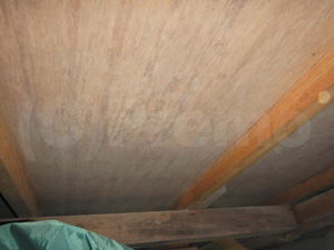 床下合板と大引きのカビ