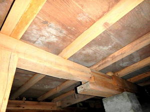 床下木材･合板のカビ
