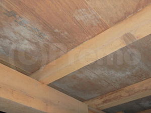 床下合板木材のカビ