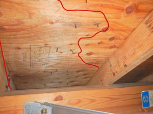 屋根裏合板のカビ
