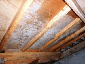 住宅床下合板のカビ