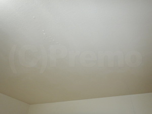 壁紙天井殺菌消毒