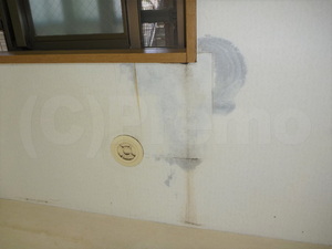 窓結露による壁紙下地カビ