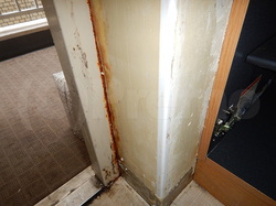 玄関ドア周辺壁紙下地防カビ工事後
