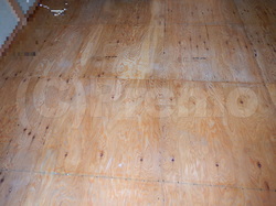 畳下床板のカビ