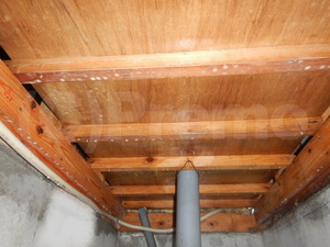 床下殺菌消毒後の防カビ施工