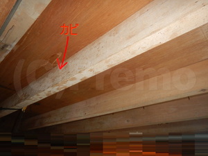 地下室木材のカビ