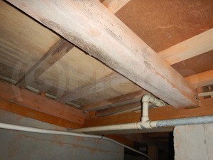 住宅床下木材合板のカビ