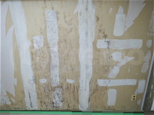 壁紙石膏ボード下地カビ