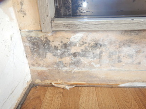 窓下壁紙石膏ボード下地カビ