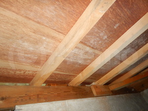 戸建住宅和室床下合板カビ