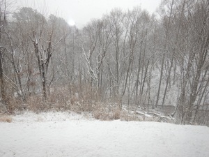 別荘から見た雪景色