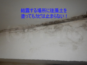 結露する壁天井に珪藻土塗った跡のカビ