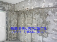 壁と梁コンクリート躯体防カビ工事後