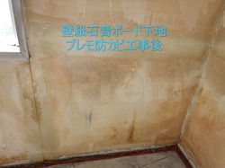 壁紙石膏ボード下地プレモ防カビ工事後