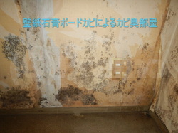 壁紙石膏ボード下地カビによるカビ臭部屋