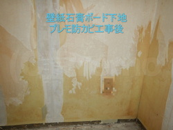 壁紙石膏ボード下地プレモ防カビ工事後