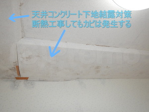 天井断熱工事後の壁紙カビ