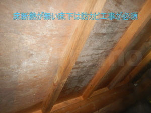 床下断熱材の無い合板カビ