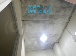 洗面所塗装天井の黒カビ