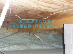床下基礎内断熱工法の構造用合板カビ