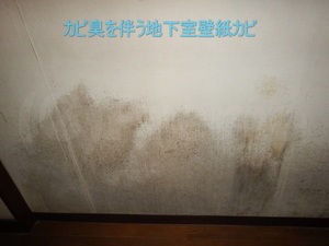 カビ臭を伴う地下室壁紙カビ