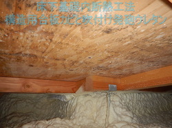 床下基礎内断熱工法構造用合板カビ