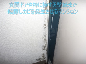 玄関ドアや枠壁紙まで結露で濡らしカビ発生