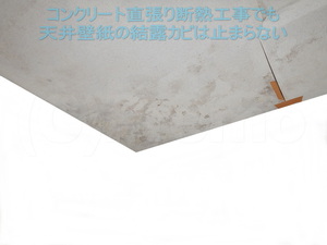 天井断熱材結露による壁紙カビ