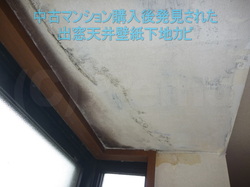 出窓天井壁紙下地カビ