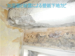 加湿器と結露による壁紙下地カビ