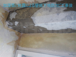 加湿器と結露による壁紙下地防カビ工事後