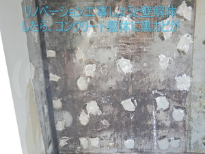 壁解体後のコンクリート躯体カビ